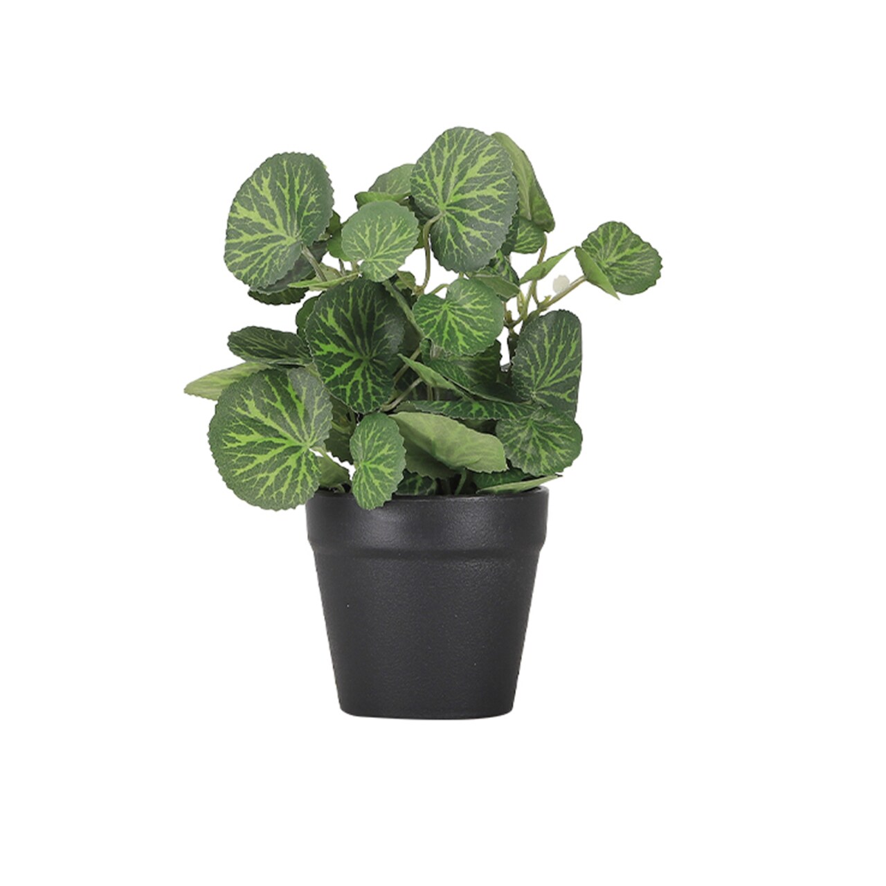 Mini Fake Plants Set of 3 - Small Lifelike Artificial Potted Plants in Ceramic Pots for Home, Office Desk, Bathroom Shelf, Farmhouse Decor
